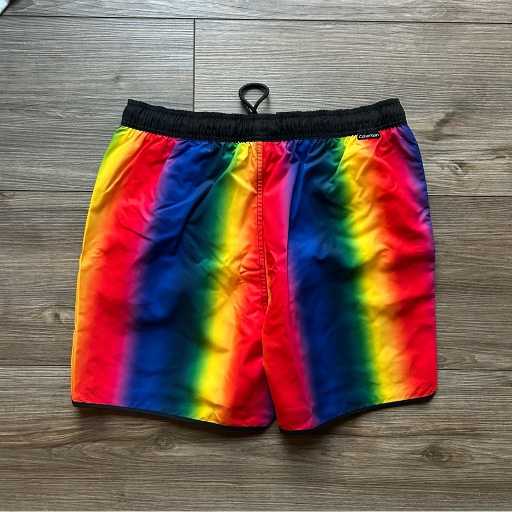 Calvin Klein | Festival Swim Shorts in Silver Cloud Aluminum Rainbow (Small) - Picture 6 of 8